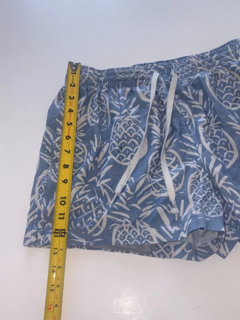 Chubbies Men's 